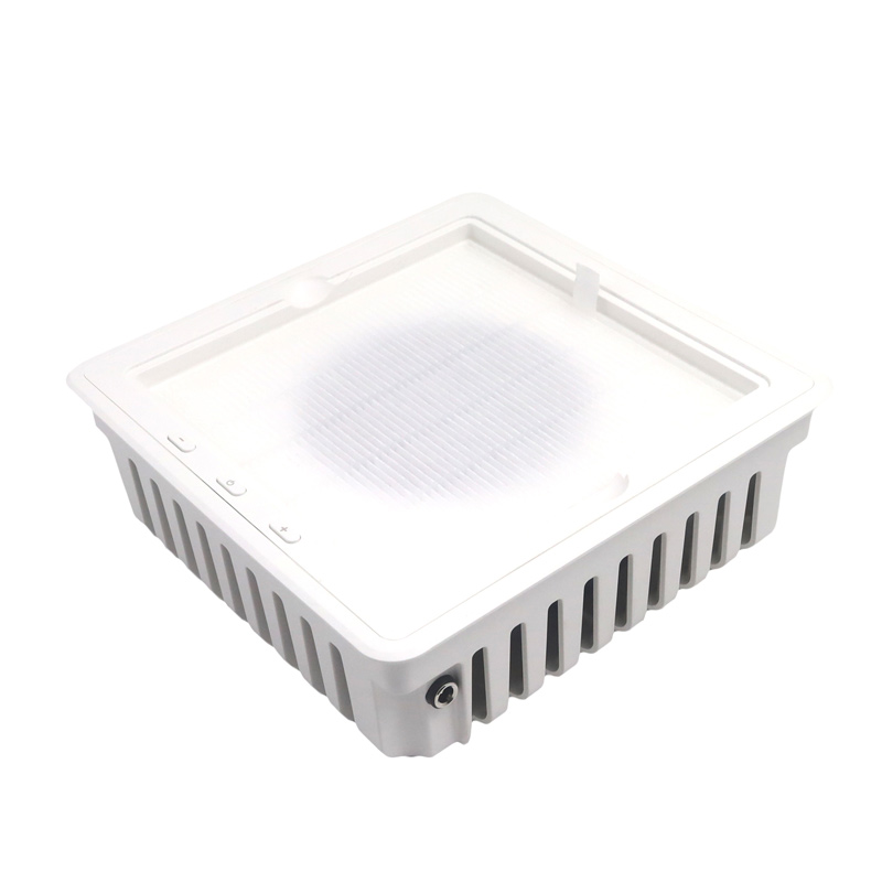 Professioneller Nagelstaubabsauger